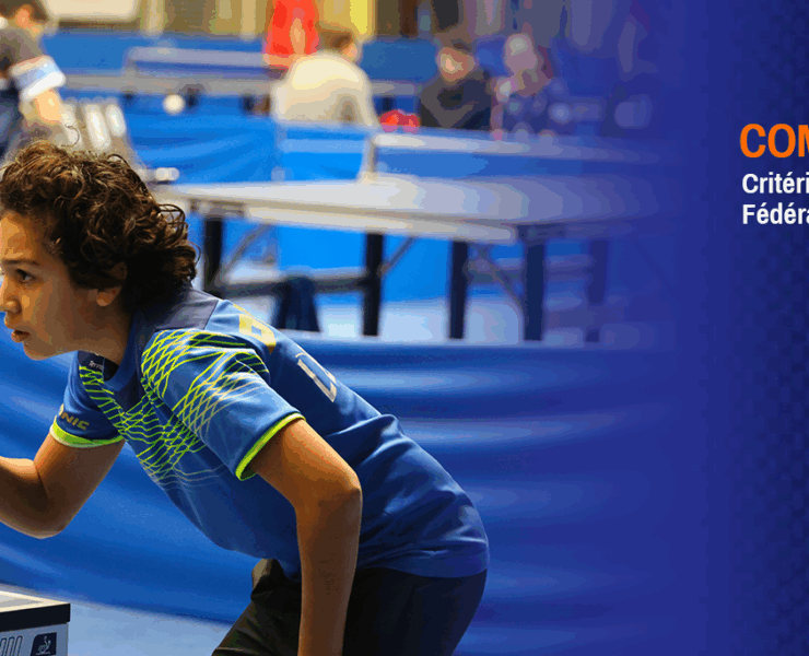 suivez le 4e tour du critérium pré-nationale de tennis de table à cerizay, avec les performances des équipes et les moments forts de la compétition.